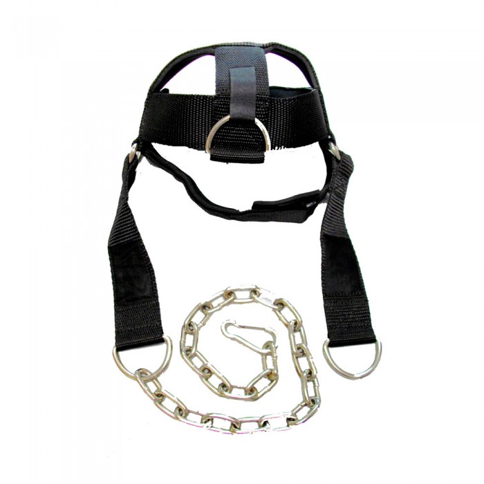 Head Harnes #PP-1906