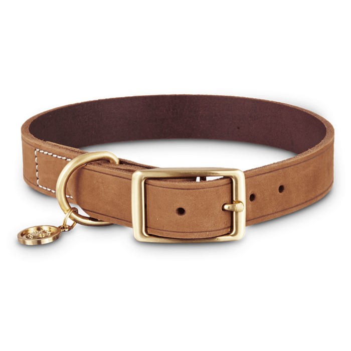 Dog Collar #PP-4206