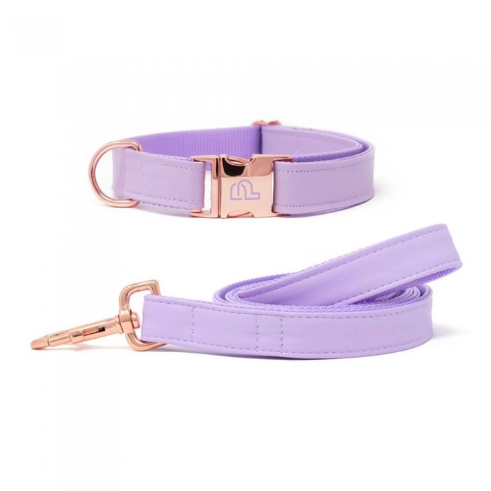 Dog Collar #PP-4201